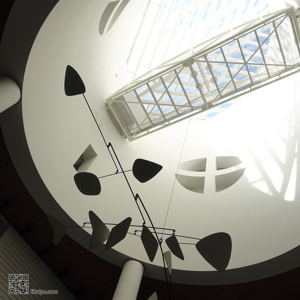 sfm-DSC03901-c11r960wmwj50.jpg